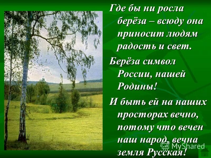 Русская березка стихотворение. Стихи о родине. Четверостишье про родину. Береза символ России. Береза символ Родины моей.