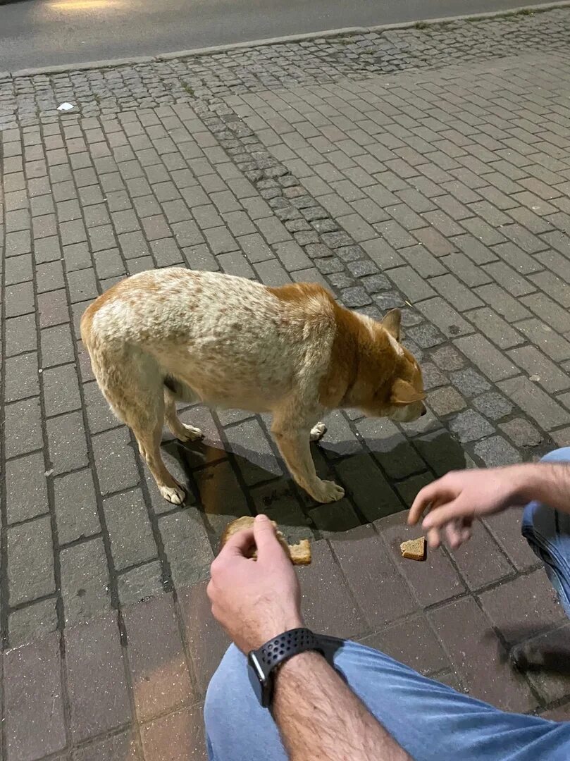 Найдена замечена. Найдена замечена
