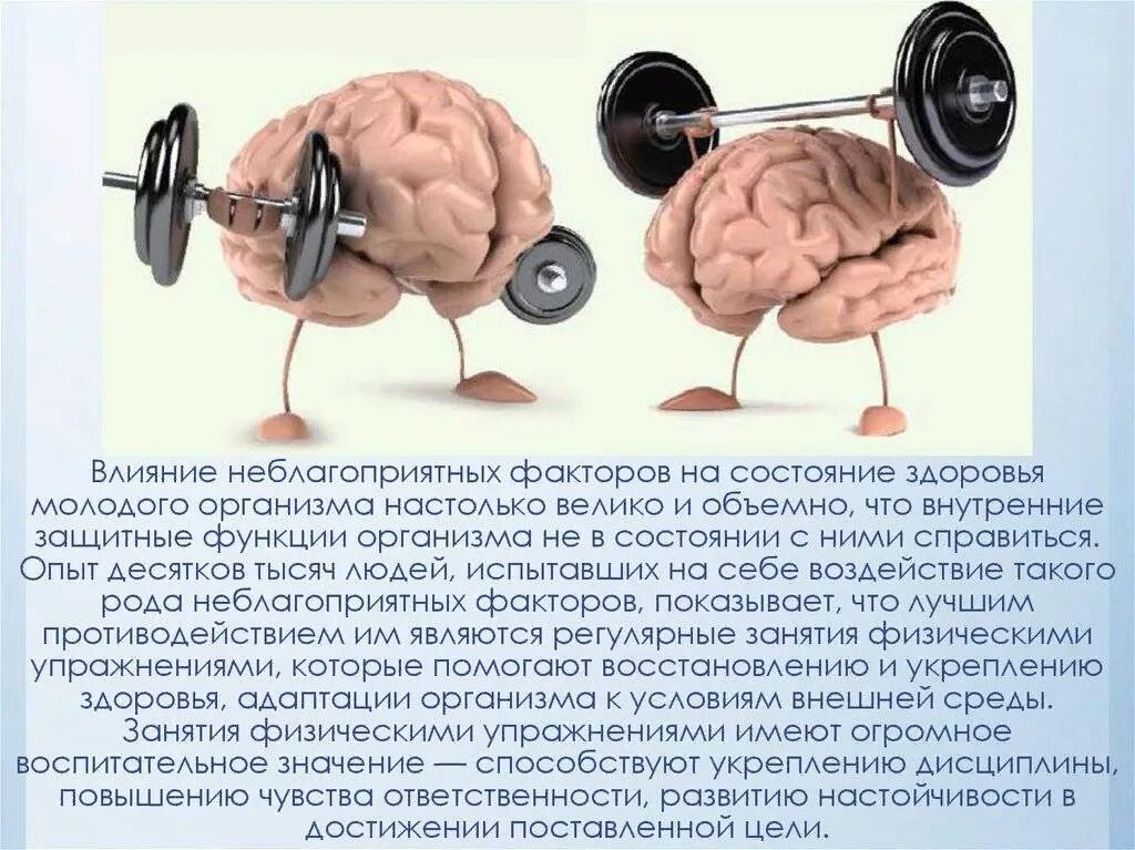 Что наиболее сильно влияет. Физическая нагрузка и мозг. Влияние физических упражнений на мозг. Физическая и умственная работоспособность человека. Влияние нервной системы на организм.