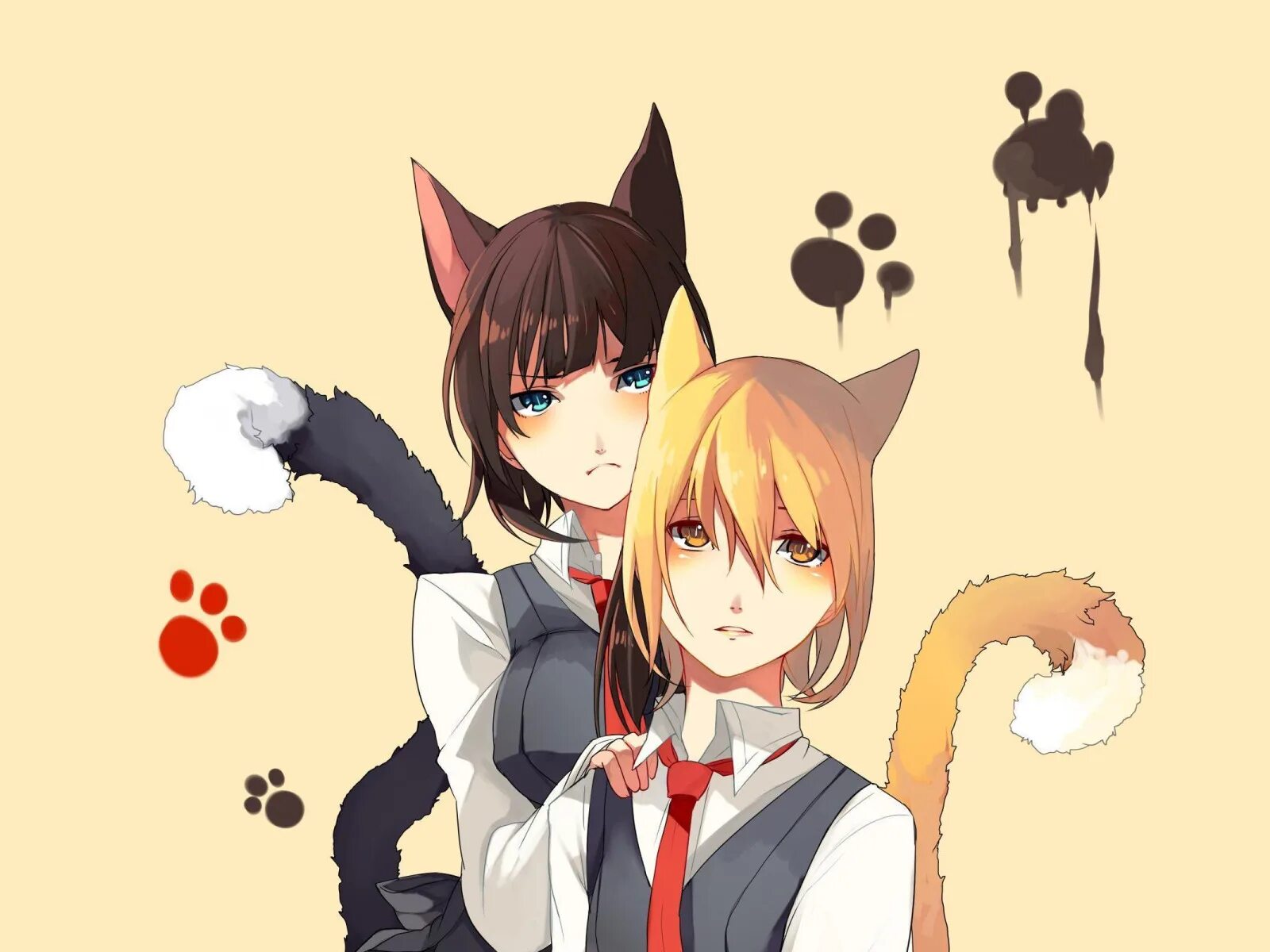 Neko pet