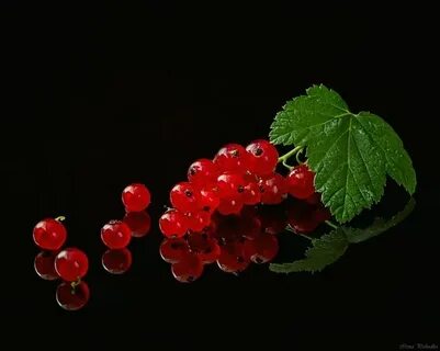 Черна красные ягоды