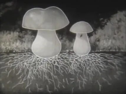 Уровень mushroom