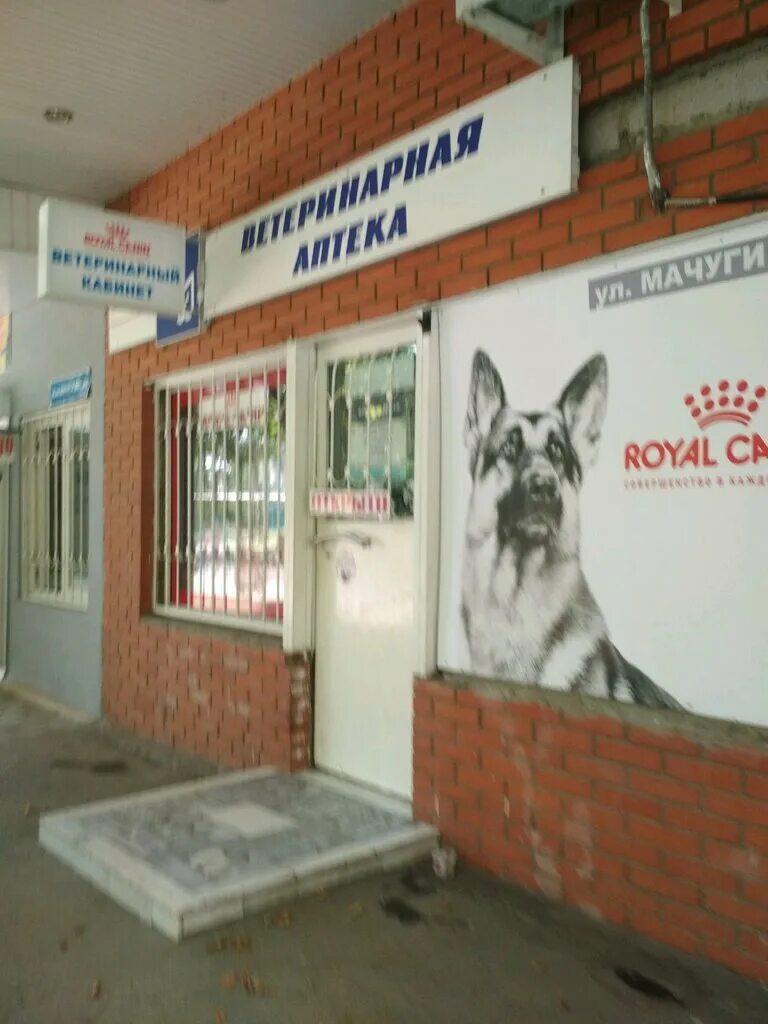 ветеринарная аптека. ветеринарная аптека баннер. номер ветеринарной аптеки. номер ветеринарной аптеки. вывеска ветклиники.