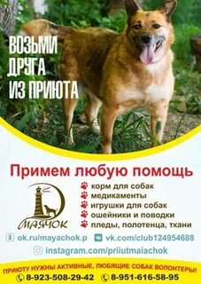 Адреса передержек