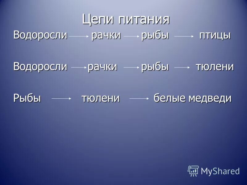 Составь цепь питания 4 класс. Цепи питания арктических пустынь. Цепь питания арктической пустыни. Пищевая цепь арктической пустыни 4 класс. Цепь питания в Арктике.