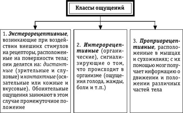 3 класса ощущений. Классы ощущений в психологии. Классы ощущений в психологии таблица. Виды ощущений по Шеррингтону. Класс и вид ощущений.