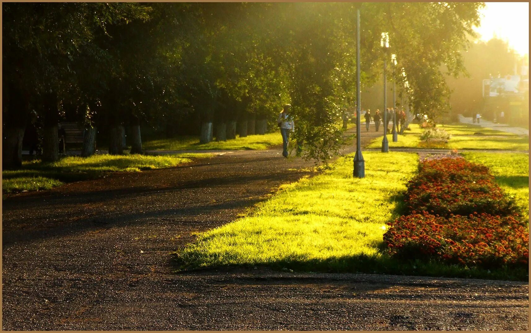 Погодная улица. Лето в городе. Лето солнце город. Солнечный день в городе. Улица парк.