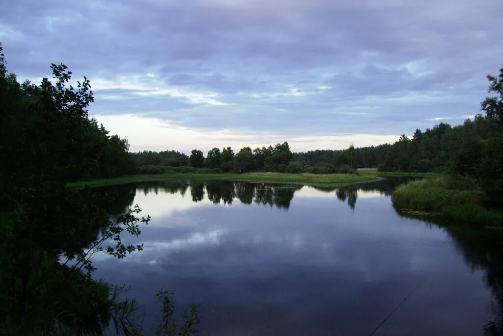 Река великая пскова псков. Устье реки великой псковской области. Псковские озера реки. Псковские озера реки. Берег реки великой псков.