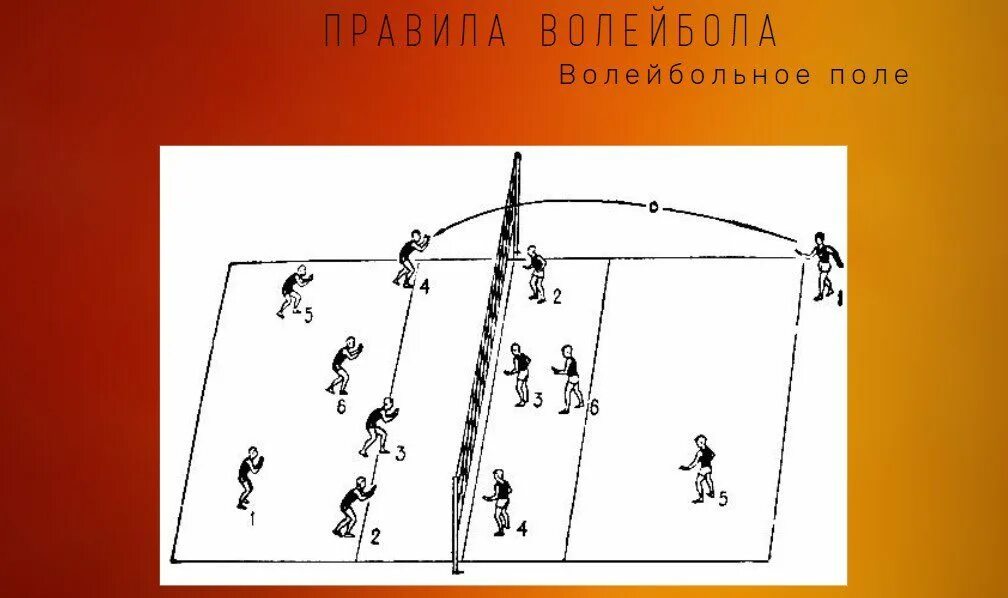 Линия нападения. Волейбол амплуа игроков на площадке. Волейбол расстановка игроков на площадке схема 5 1. Волейбол расположение игроков на поле. Зона Либеро на площадке в волейболе.