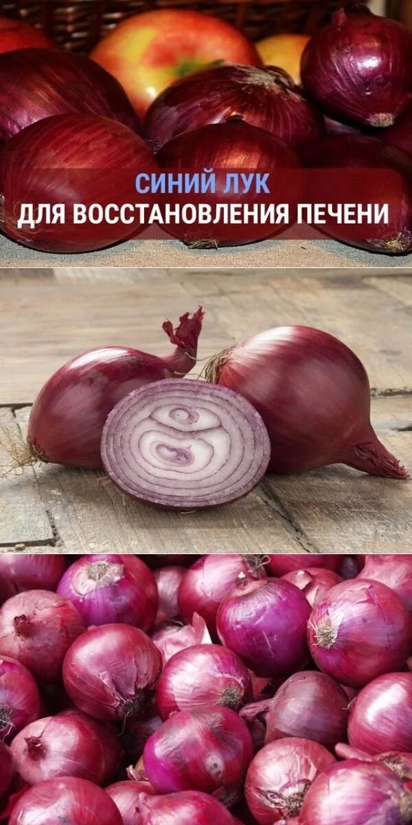 Синий лук отзывы. Синий лук отзывы. Синий лук отзывы. Лук-севок ред барон. Синий лук.