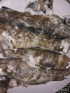 Замороженная рыба рецепты