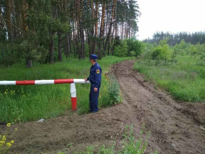 Рейд в курскую область. Рейды по лесу. Противопожарная служба Курской области. Лесопожарный центр Липецкой области. ПЧ Курского района Курской области.