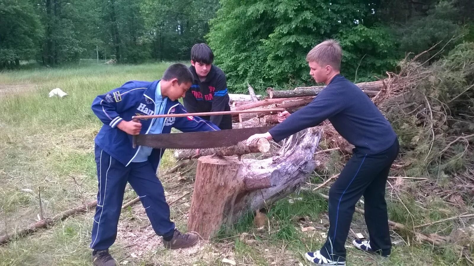 Пила несколько человек. Пила несколько человек. Пила несколько человек. Пила несколько человек. Пила несколько человек.