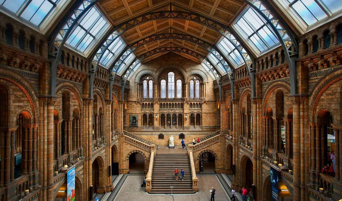 Музей естествознания Лондон. Музей естествознания, Лондон, Англия.. Natural History Museum London. Музей университетского колледжа Лондона.