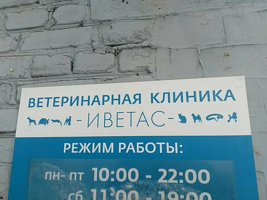Книповича 51 ветклиника в мурманске. Ветклиника на декабристов 115 казань. Ветлечебница мурманск. Ветклиника ул декабристов. Мурманск ул шабалина.