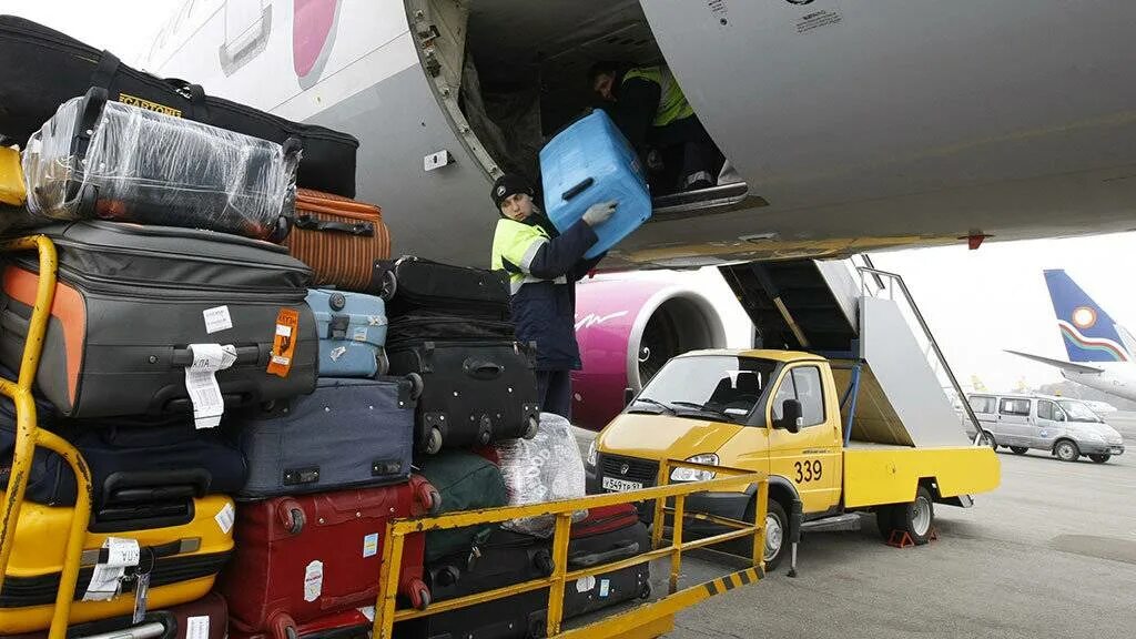 Воздушных перевозок пассажиров грузов. Погрузка багажа в Боинг 737. Багажное отделение самолета. Багажный отдел самолета. Багажник самолета.