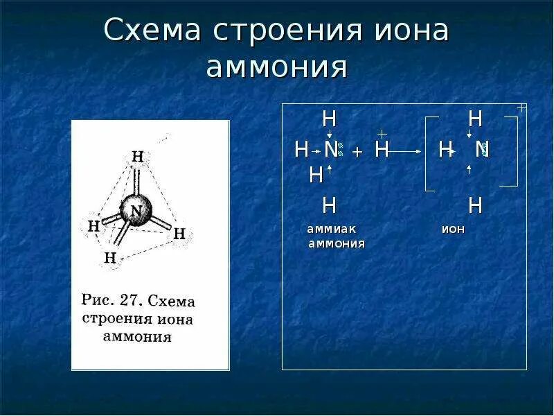 Структура Иона аммония. Строение Иона аммония. Схема строения Иона аммония. Механизм образования Иона аммония nh4 +.