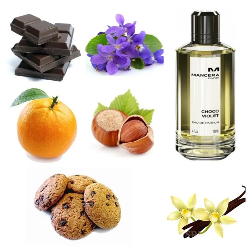 Mancera choco violette. Choco violet mancera. mancera миниатюра.
