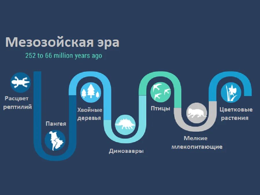 Ароморфозы мезозоя. Ароморфозы мезозойской эры. ароморфозы мезозойской эры таблица по периодам. периоды мезозойской эры таблица ароморфозы. ароморфозы эры мезозой.
