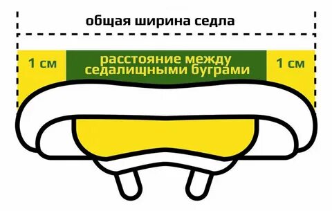 Седалищные бугры расстояние