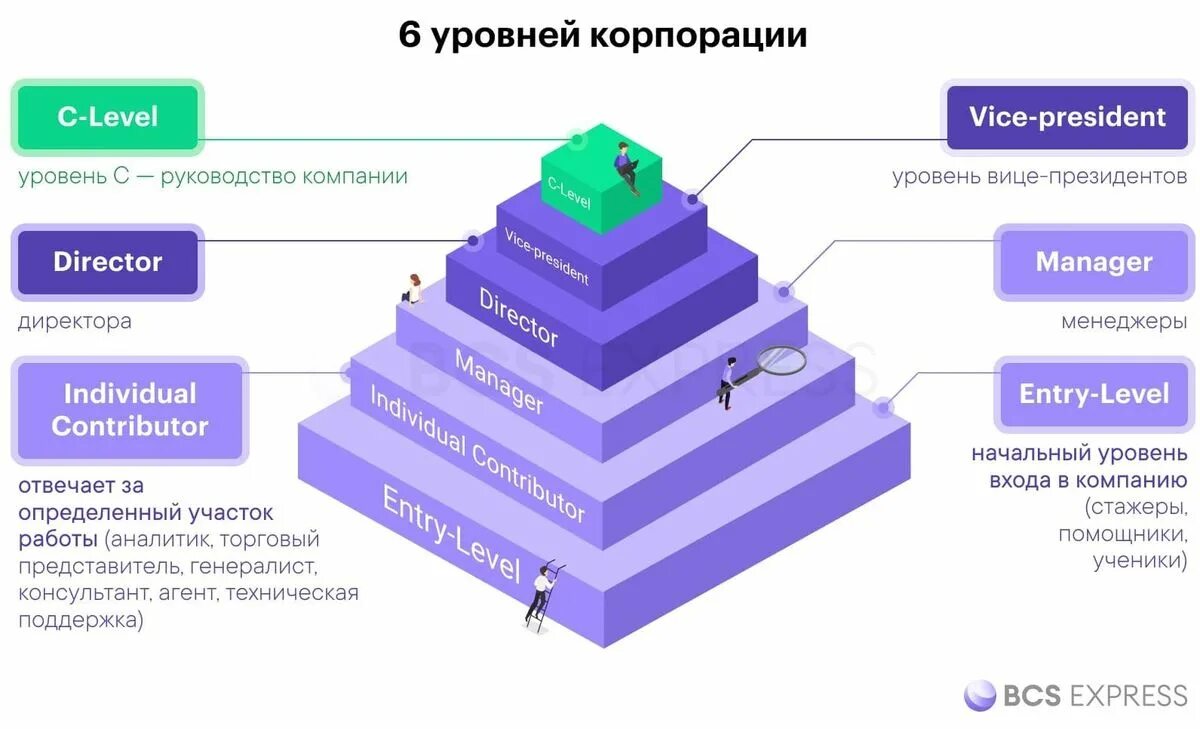 Должности c-Level. C Level уровни сотрудников компании. 10. C-Level в корпорации. VP Level что это.