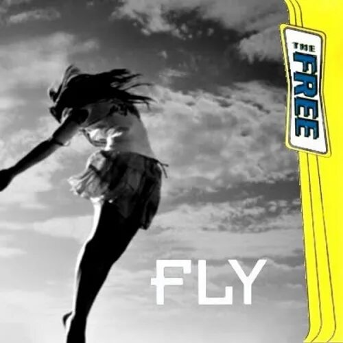 Fly edit