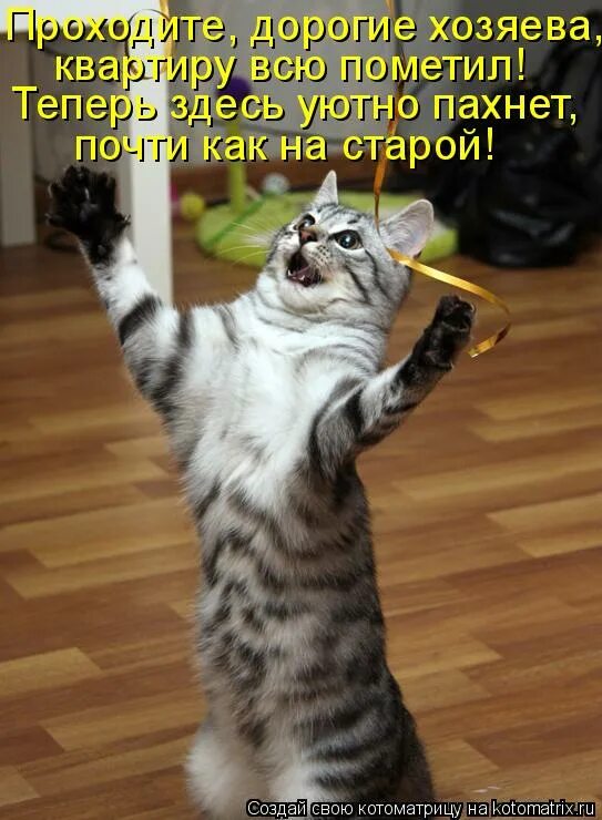 Кот с топором. Кот радуется пятнице. Госбезопасность припомнит ваши имена. И вот тогда госбезопасность припомнит ваши имена. Котоматрицы с надписями.