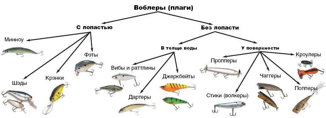 Виды приманок для спиннинга. Таблица проводок для воблеров. классификация плавучести воблеров. виды рыболовных приманок для спиннинга с картинками. классификация воблеров по плавучести и заглублению.