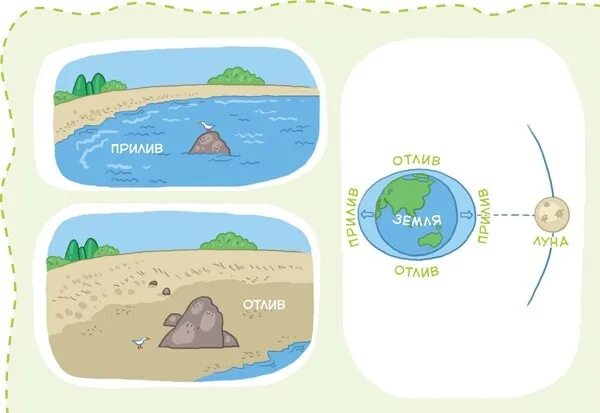 Приливы океана причины. Лунные приливы и отливы на земле. Приливы и отливы влияние Луны схема. Земля Луна отлив прилив схема. Рисунок приливов и отливов на земле.