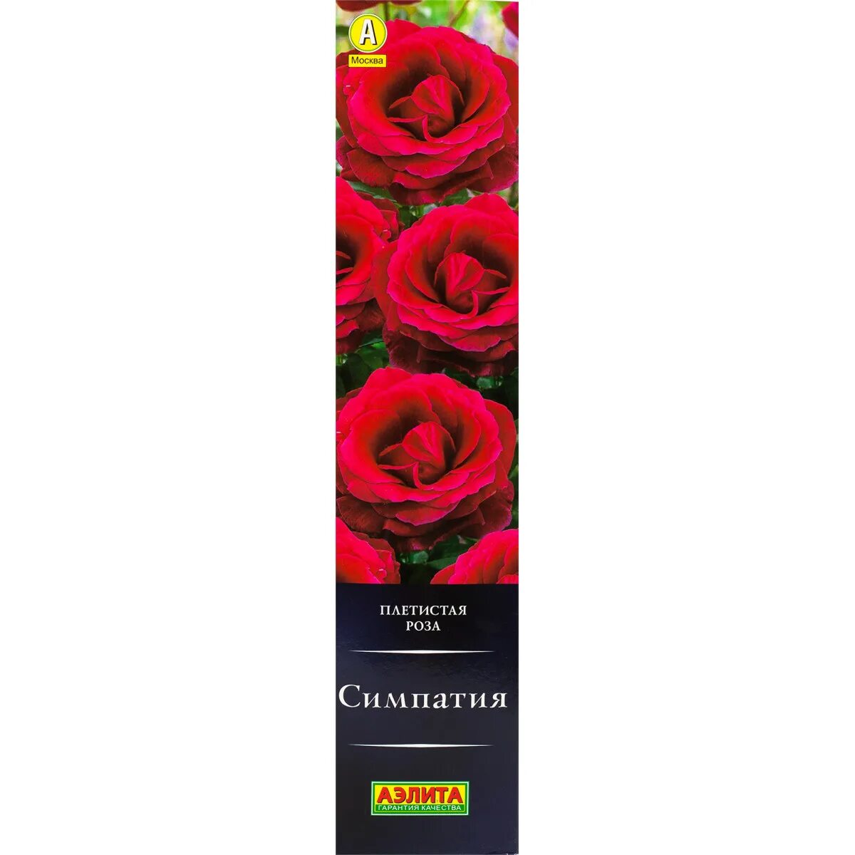 Купить розы саженцы с доставкой. Саженцы роз в Леруа Мерлен. Леруа Мерлен саженцы роз 2022.