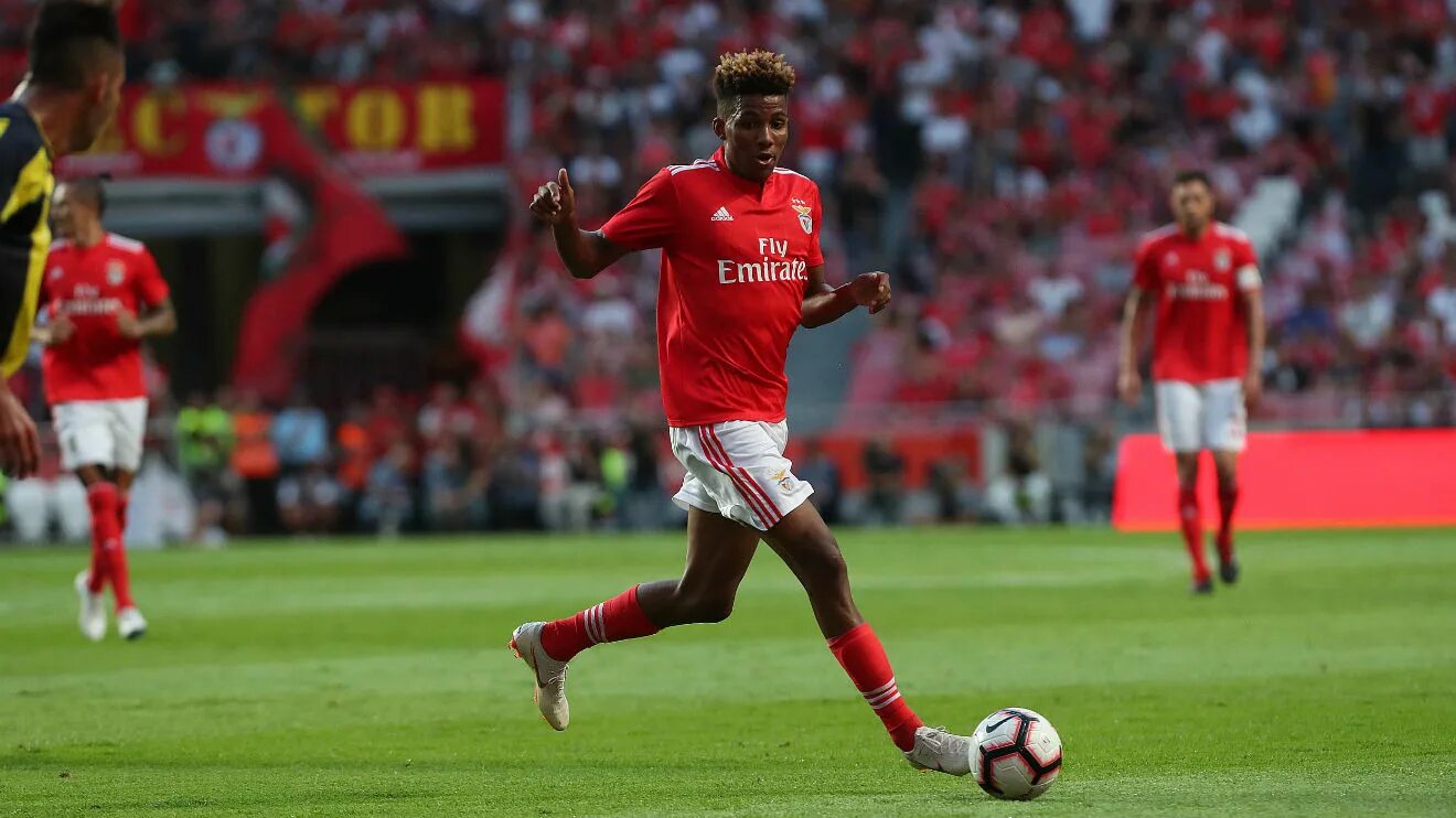 Желсон фернандеш. Gedson fernandes. Жедсон фернандеш зенит. Gedson carvalho fernandes. Жедсон фернандеш зенит.