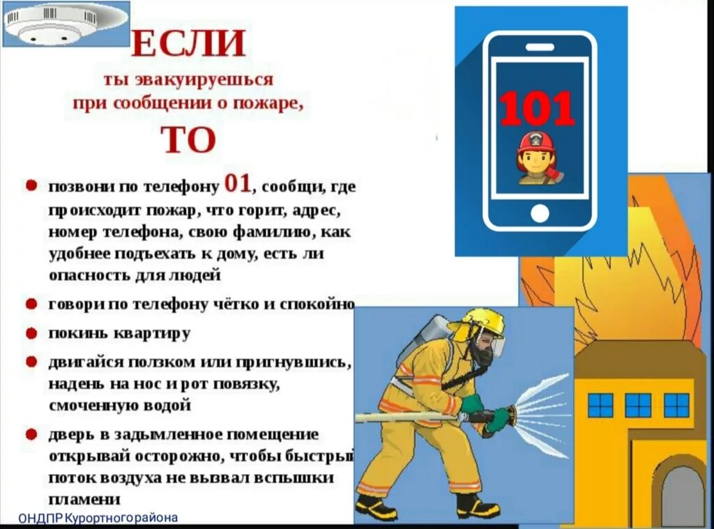 Какие сведения необходимо сообщать