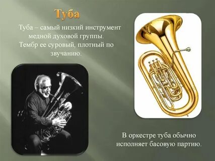 Духовая 5