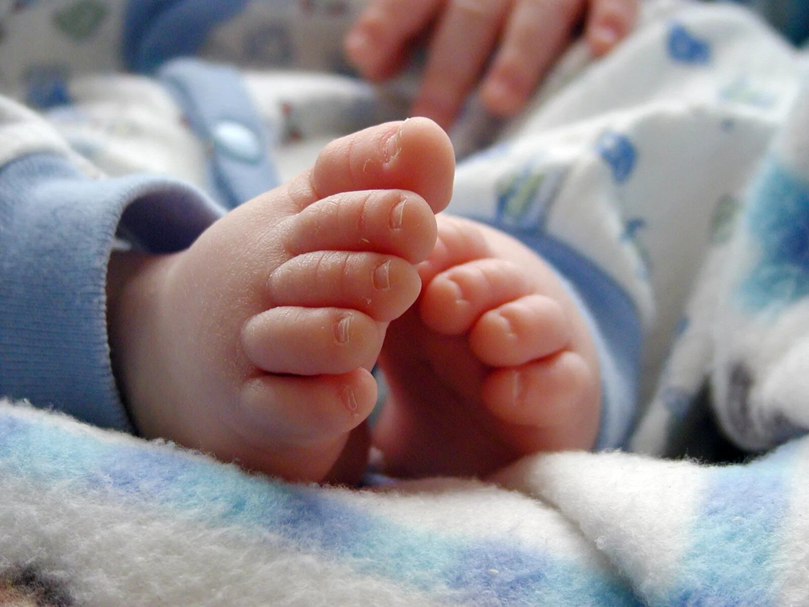 Последние 2 месяца. Ножки младенца. Ножка новорожденного. Маленькие ножки ребенка. Пяточки новорожденного.