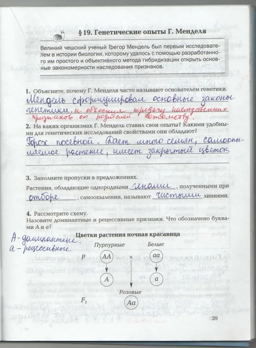 Гдз биология 9 пасечник. Рассмотрите рисунок сравните представителей разных популяций. Биология 9 класс пасечник рабочая тетрадь гдз. Решебник по биологии 9 класс лабораторные. Решебник по биологии 9 класс лабораторные.