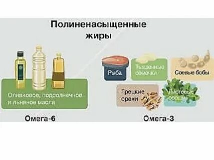 6 жиры