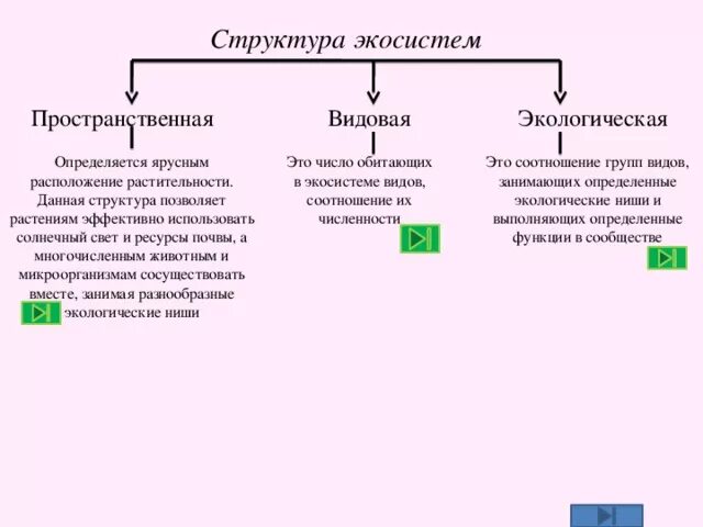 Экосистемы 11 класс биология конспект. Структура экосистемы пространственная видовая экологическая. Структурные компоненты экосистемы схема. Видовая и пространственная структура экосистем схема. Экологическая структура экосистемы таблица.