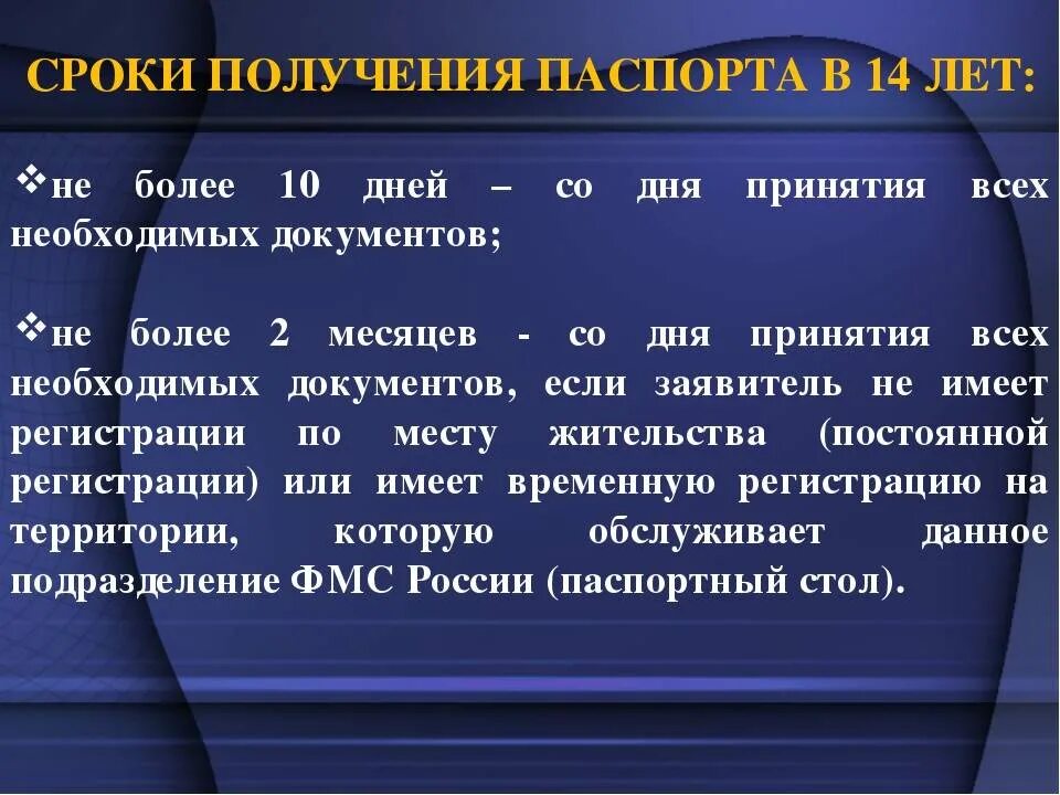 До какого срока необходимо подать