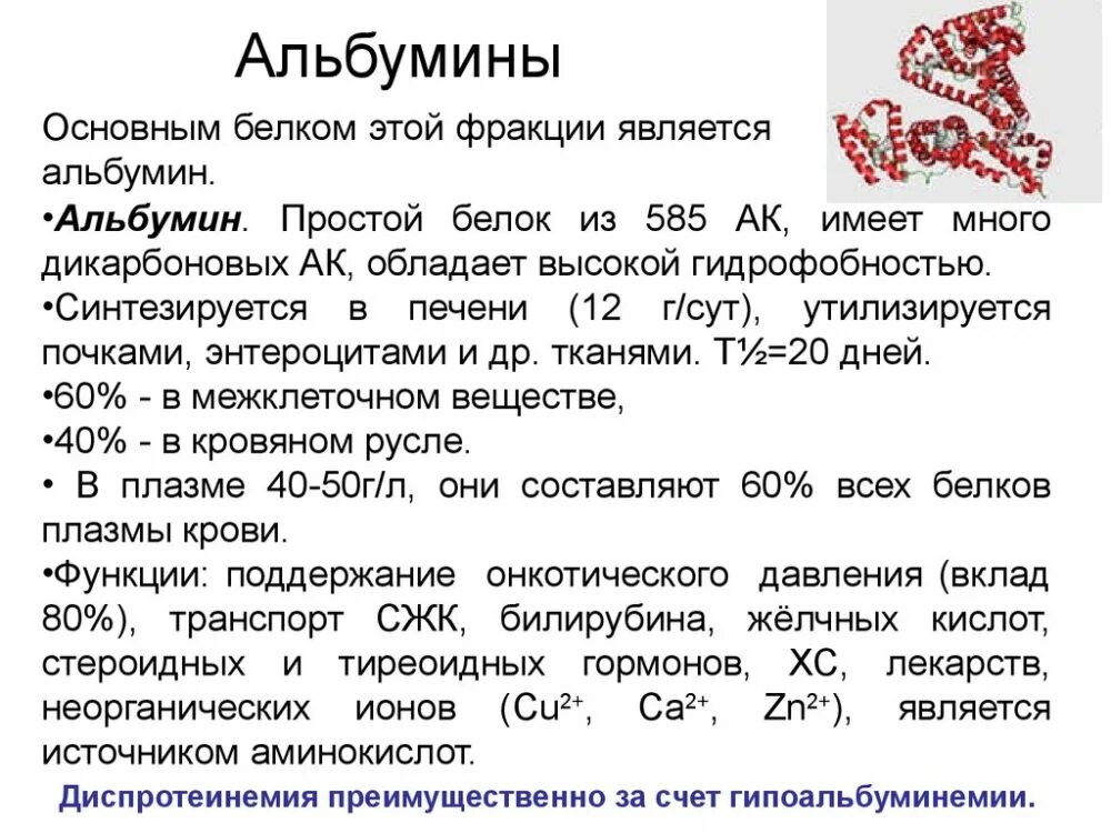 Причина низкого общего белка в крови. Альбумины характеристика биохимия. Альбумин плазмы крови норма. Строение и функции альбумина. Альбумины функции биохимия.