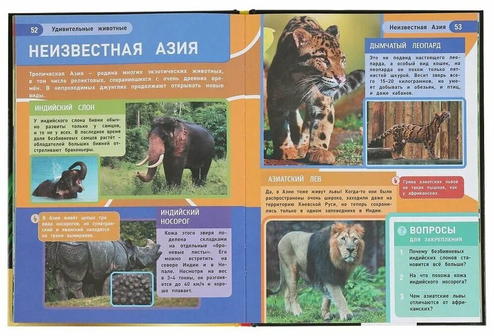 хочу все знать животные. книги энциклопедии хочу знать. энциклопедия проф пресс. энциклопедия с развивающими заданиями животные разных континентов. энциклопедия умка экзотические животные.