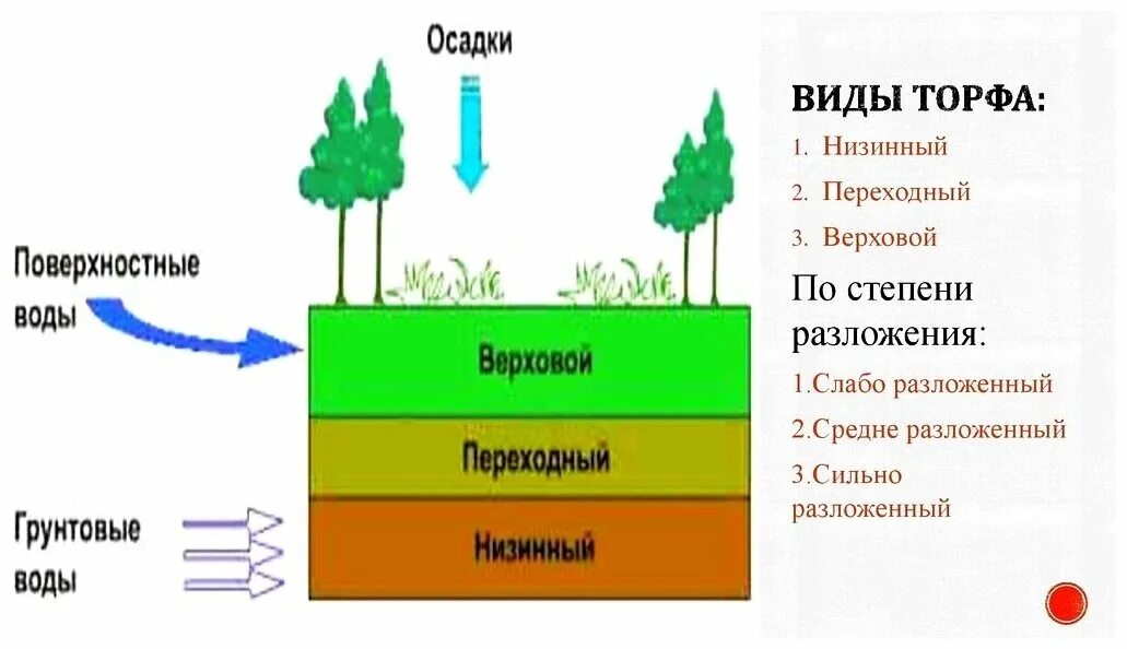 Верховая земля. Классификация видов торфа. Слои торфа. Торф схема. Торф низинных болот и верховых.