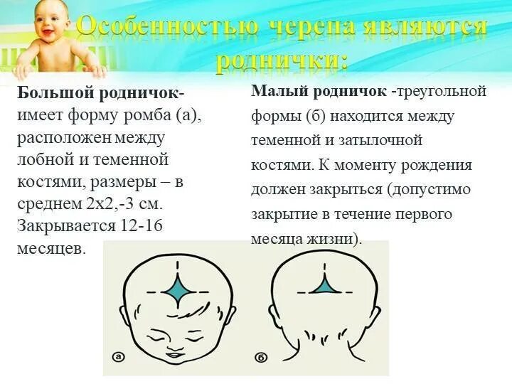 Почему пульсирует родничок. Родничок у новорожденных. Западение большого родничка. Пульсирующий Родничок у ребенка. Темечко у новорожденного.