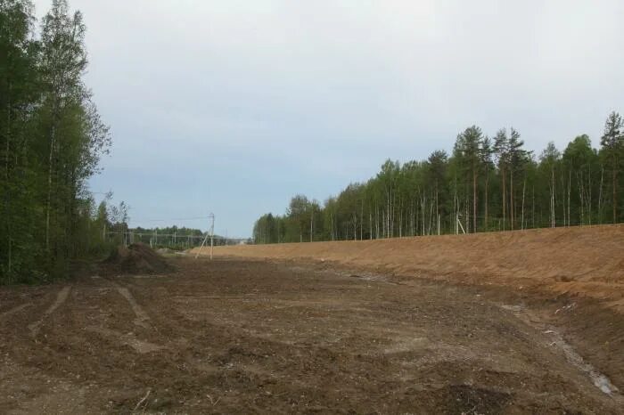 Сологубовка (деревня). Мга сологубовка расписание. Мга сологубовка расписание. Кладбища в поселках сологубовка. Немецкое кладбище сологубовка.