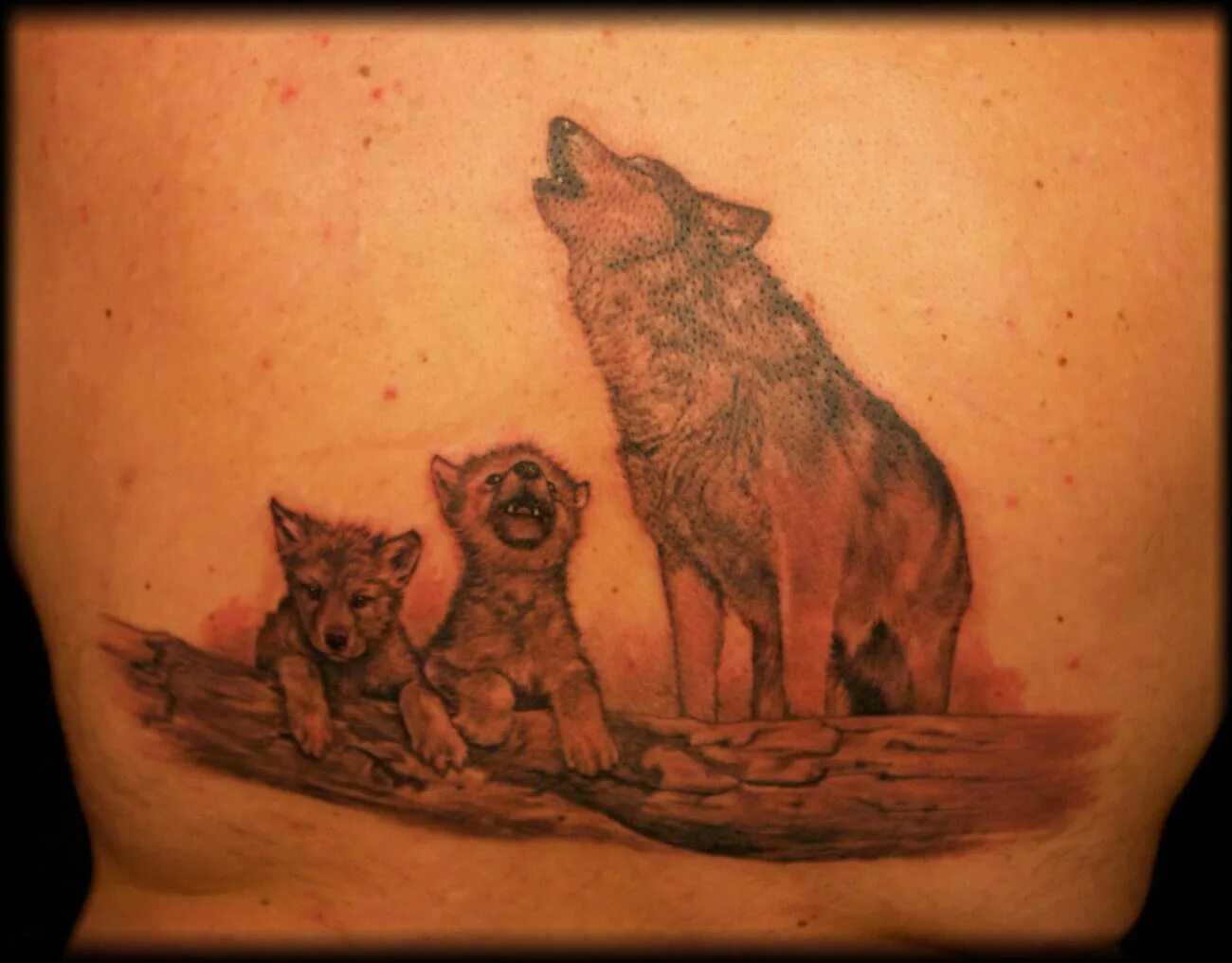 тату семья волков. волчица с волчатами рисунок карандашом. тату волки семья. тату волчица с волченком. тату волк и волчонок.