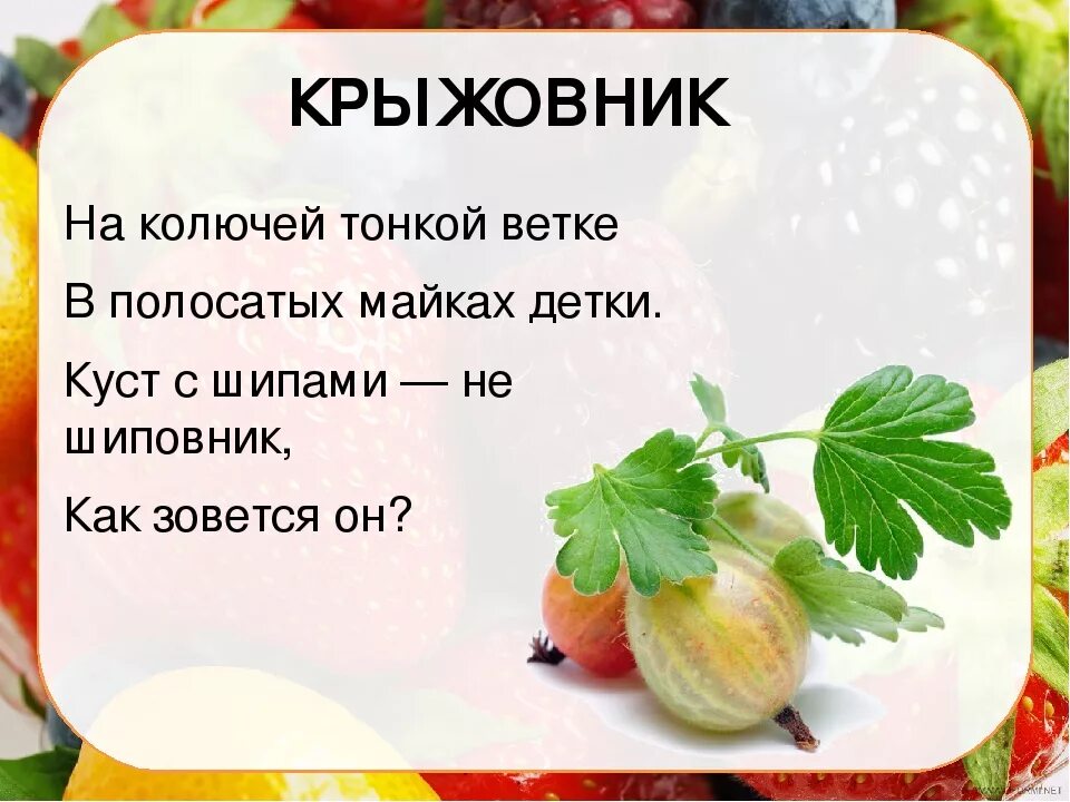 Ягода части слова. Загадки про ягоды. Загадки про ягоды для детей. Загадка про крыжовник. Загадки на я.