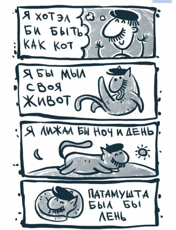 Стань котиком