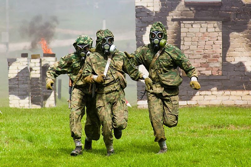 Робукс ленд. Logic expert иконка. Lbx битва 2. Rbx tree gg. Lbx немезида.