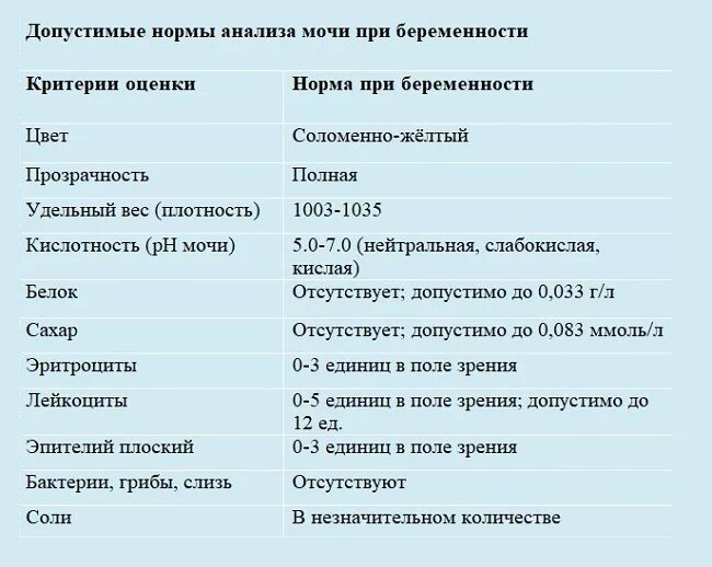 Как обозначается белок в моче. Общий анализ мочи беременной норма. Таблица норм показателей анализа мочи беременных. Общий анализ мочи при беременности расшифровка и нормы для женщин. Анализ мочи у беременных норма.