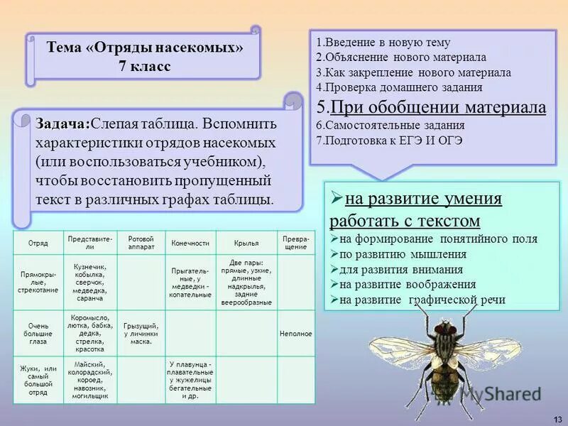 Отряд насекомых тип развития. Класс насекомые отряды насекомых. Характеристика отрядов насекомых. Отряды класса насекомые таблицы. Название отряда насекомых.