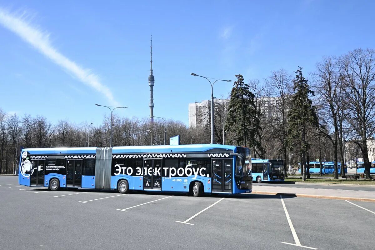 Электробусы вышли на маршрут. Электробус гармошка Москва. Электробус гармошка ЛИАЗ. Московский электробус гармошка. Электробус КАМАЗ гармошка.